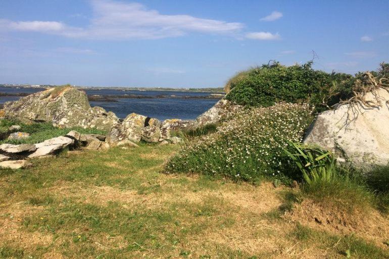 Seaside Log Cabin, Carna Villa Buitenkant foto